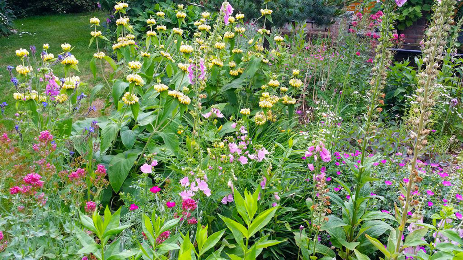 Bloemenborder